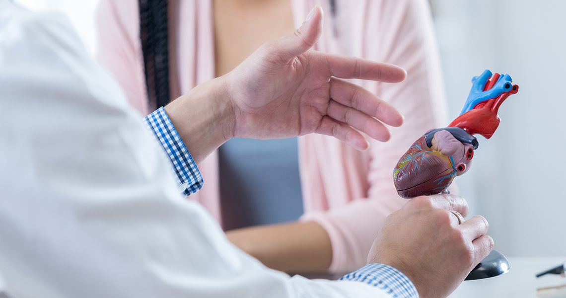 doctor gesturing at a model of a heart