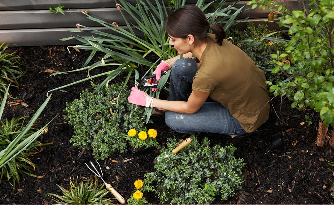 A woman gardening