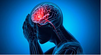 illustration of someone's brain