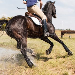 Horseback rider