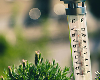 thermometer in the ground